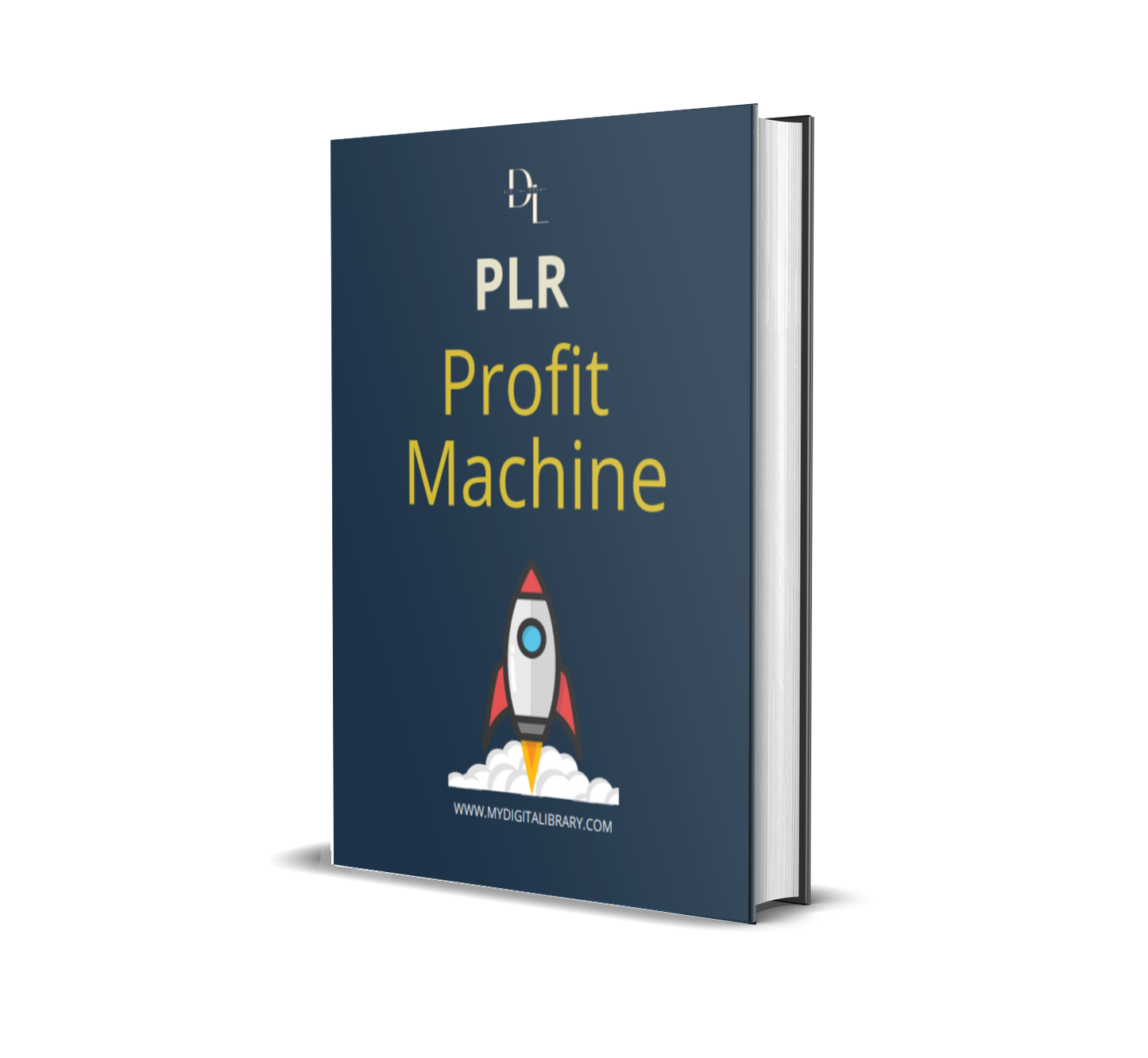 The PLR Profit Playbook: How to Turn Ready-Made Content into Real Online Income