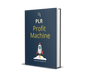 The PLR Profit Playbook: How to Turn Ready-Made Content into Real Online Income